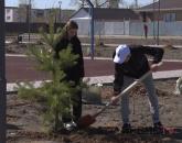 Экологическую акцию по высадке деревьев организовала компания ERG в Аксу